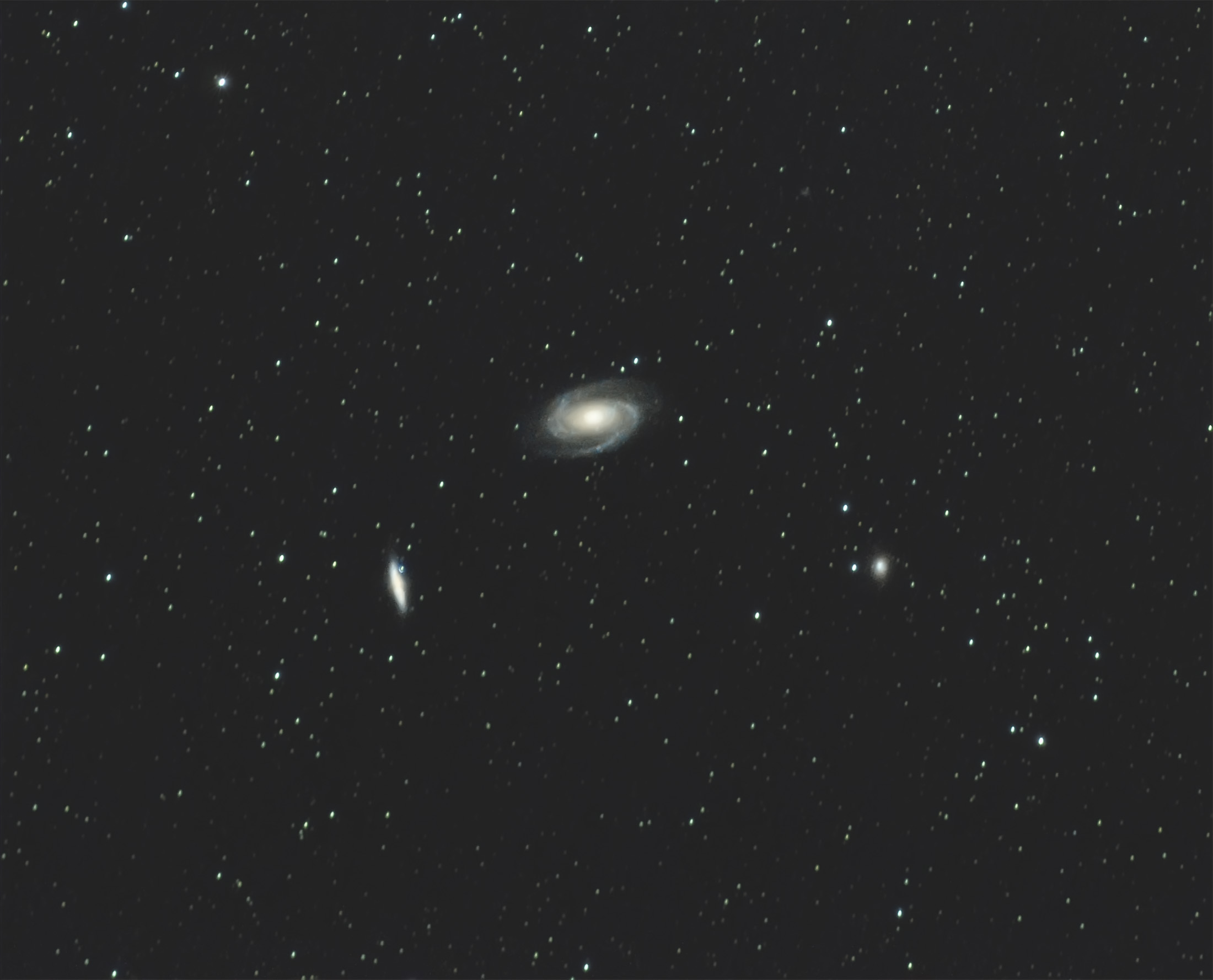 M81