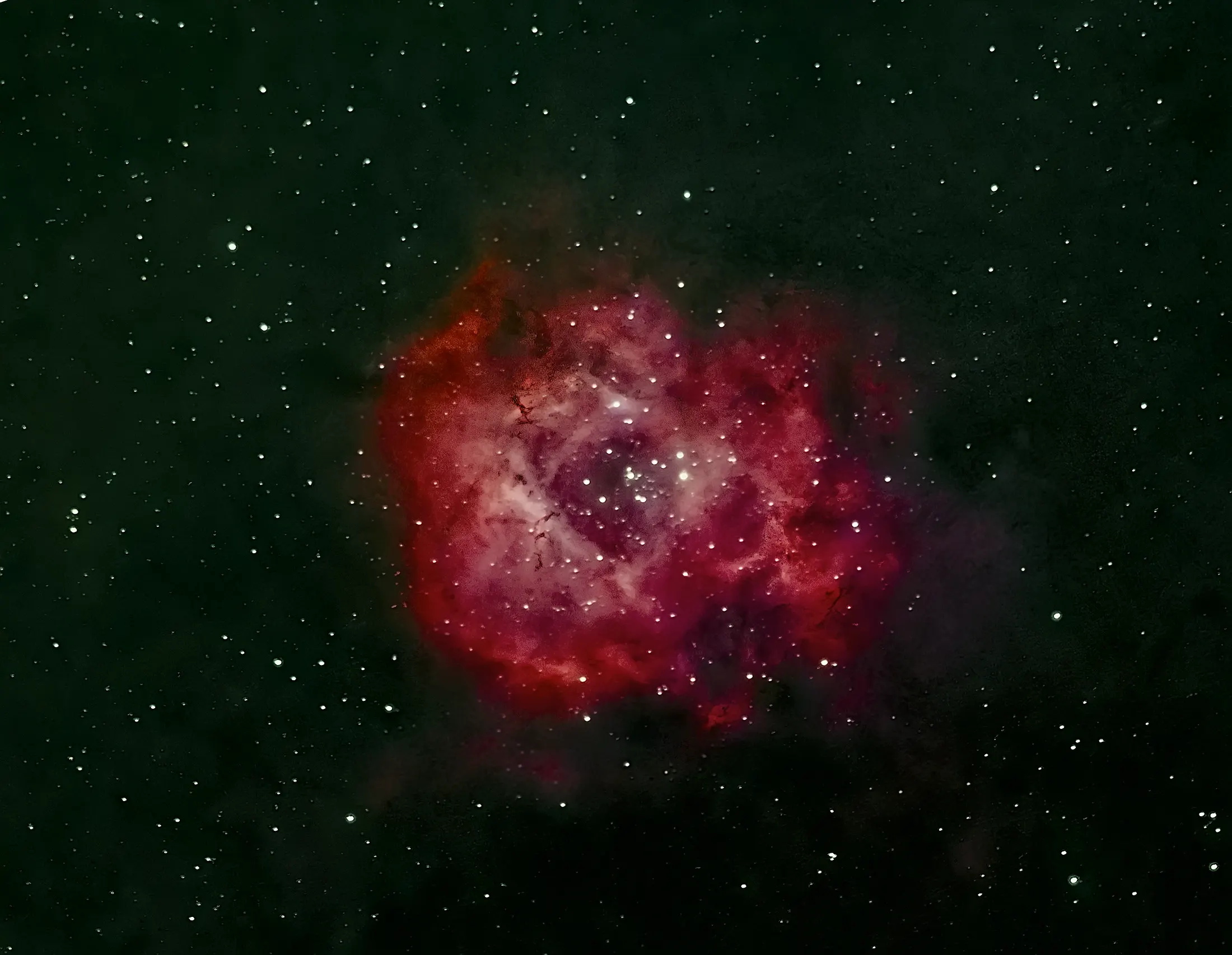 The Rosette Nebula